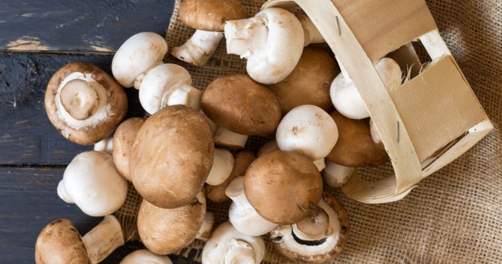 Cum se curăță ciupercile și alte lucruri de știut despre ele