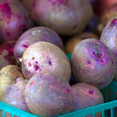 cartoful violet