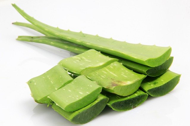 Proverbio por no mencionar patata Aloe vera - beneficii şi moduri de a o introduce în dietă