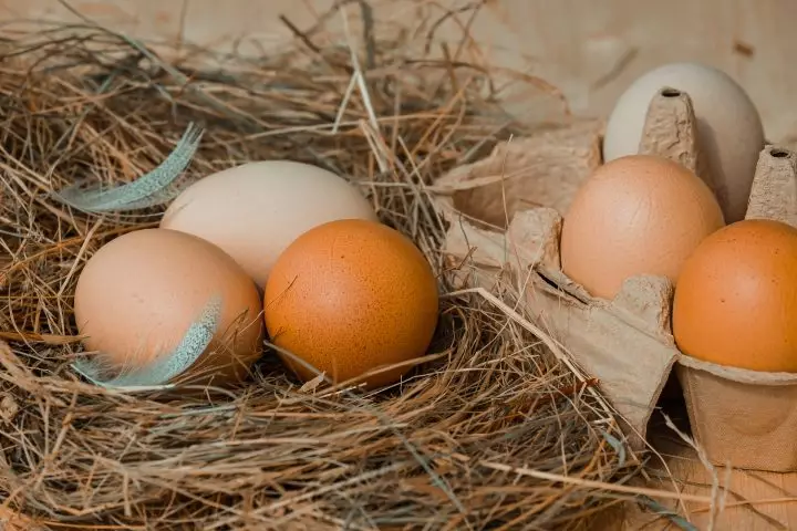 Cum verifici dacă un ou este proaspăt? </br>4 trucuri simple - 1