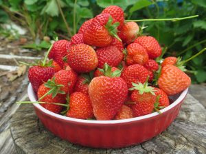 12 beneficii pentru sănătate ale căpșunilor - 6