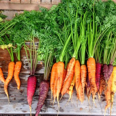 De ce să consumi un morcov pe zi? Ce beneficii îți oferă?
