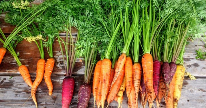 De ce să consumi un morcov pe zi? Ce beneficii îți oferă?