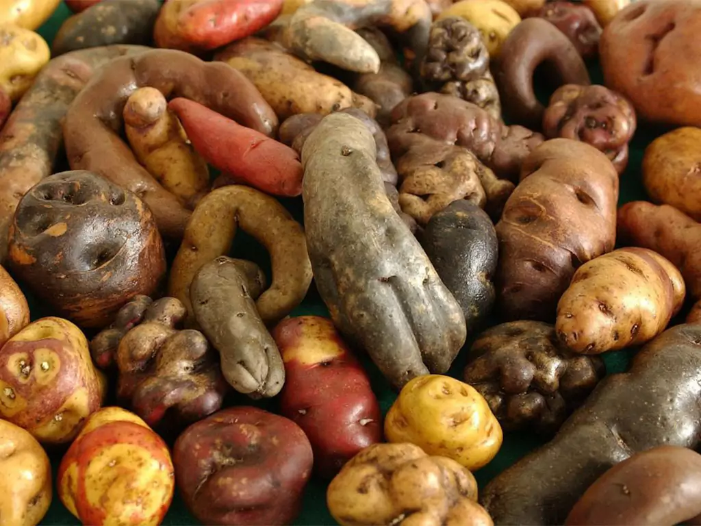 peruvian-potatoes 